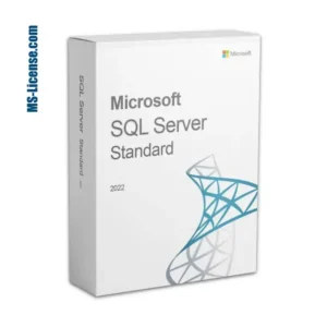 server SQL 2022 standard license
