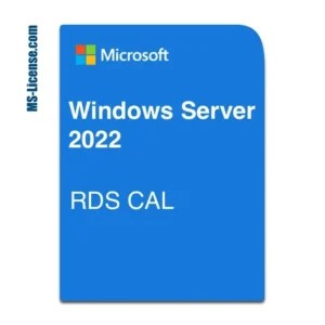 windows server CAL RDS 2022 license